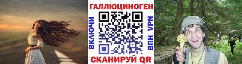 Купить где  Таганрог  Псилоцибиновые грибы Psilocybine cubensis 
