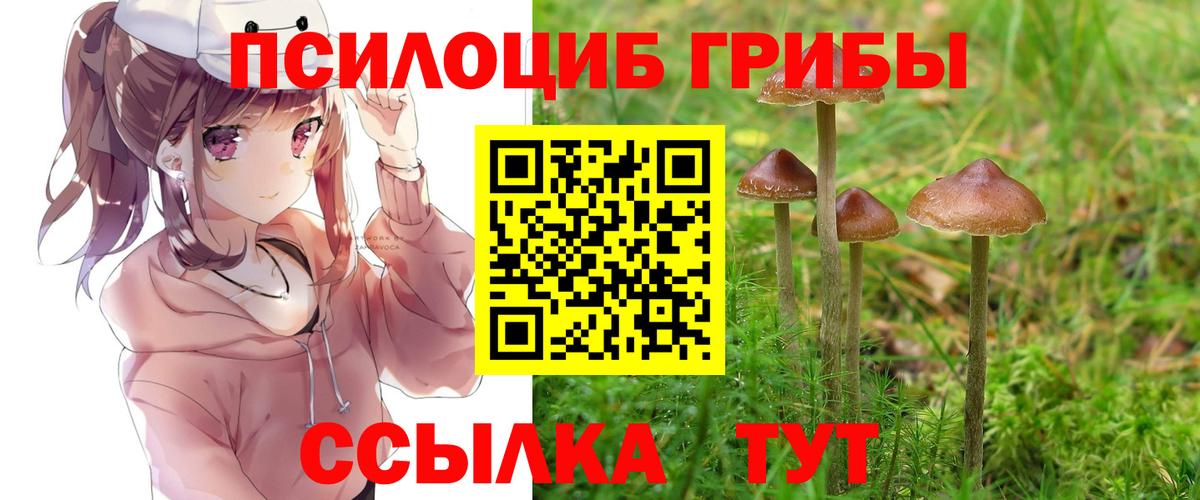 Таганрог  Галлюциногенные грибы ЛСД  Вход с VPN  Псилоцибиновые грибы ЛСД 