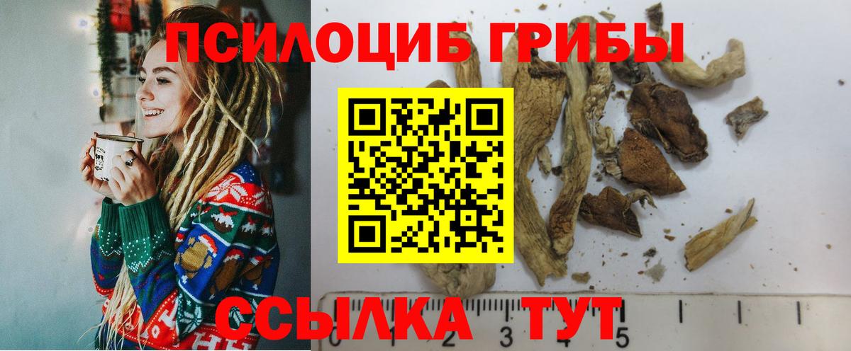 Галлюциногенные грибы мухоморы  Таганрог  Галлюциногенные грибы мухоморы 